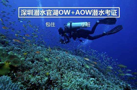 阿吉赛斯盘中异动 大幅拉升5.01%报86.99美元